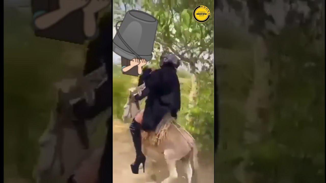 Меняй осла на железного коня