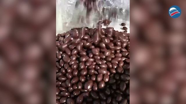 Сладкое сокровище: огромная коробка с шоколадом