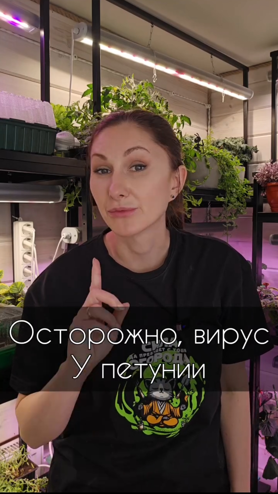 Осторожно,  вирус у петунии!