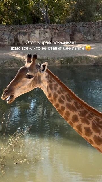 Понятно?) 😆
#travel #путешествия #юмор #развлечения