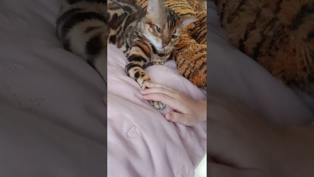 влог 5 часть