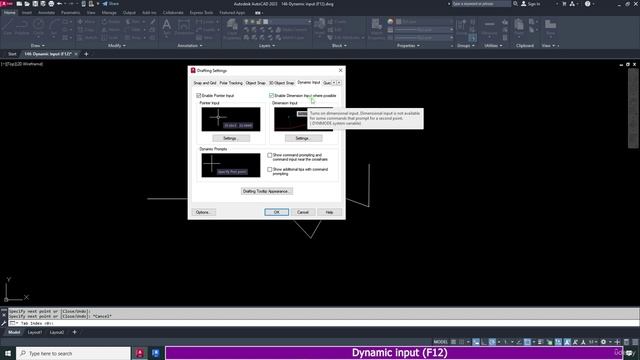 5. Dynamic input (F12)