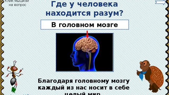 Книга МИР ВНУТРИ НАС   ЗАЧЕМ ЧЕЛОВЕКУ РАЗУМ