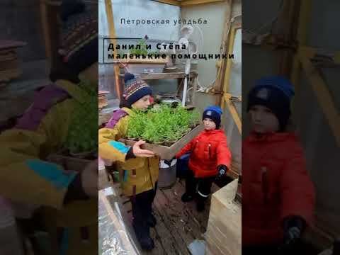 Маленькие помощники