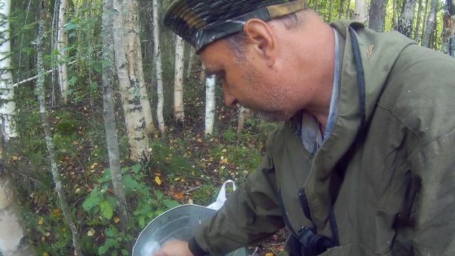 за волнушкой18г