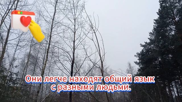 Совет дня. Сделай перерыв