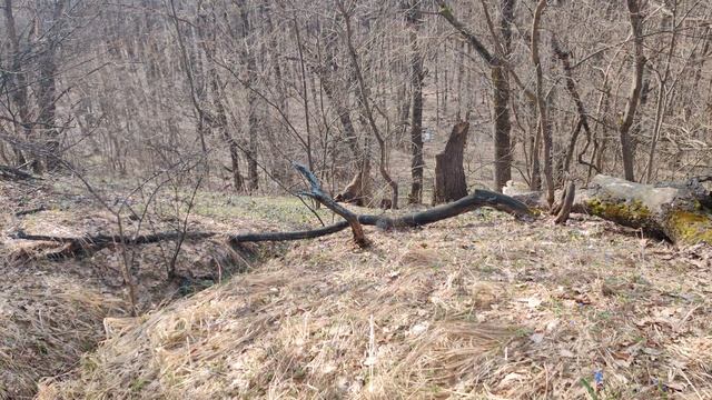 VID_20240402_091001