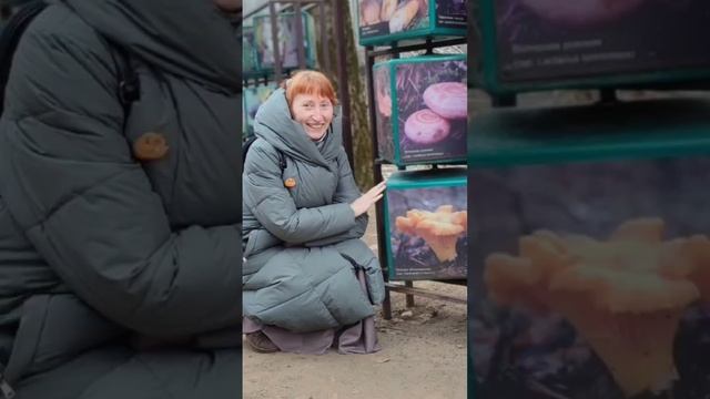 Воскресная прогулка в парке 😇