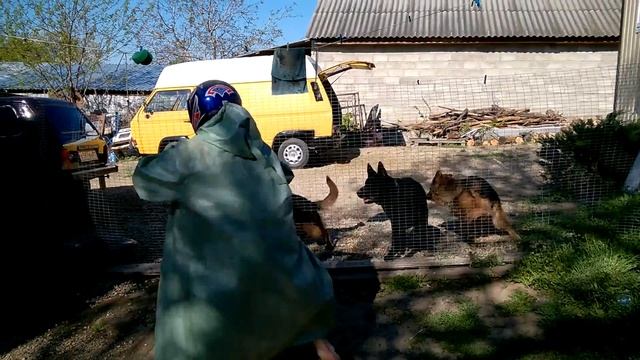 НКД НЕО Кери 8мес отработка команды чужой