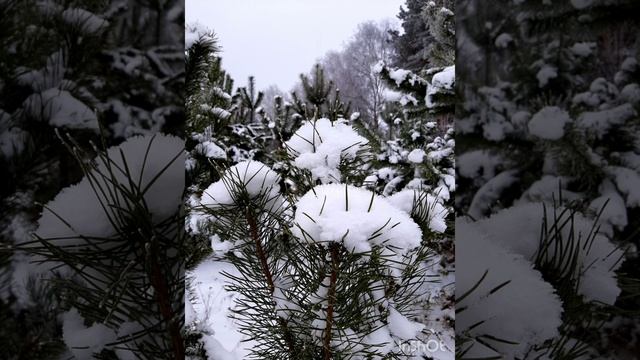 11-02-2025 Февраль - последний месяц зимней сказки...