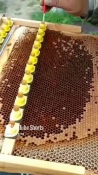 Вывод Маток!!!