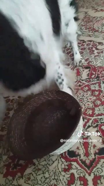 Подайте на пропитание...)))