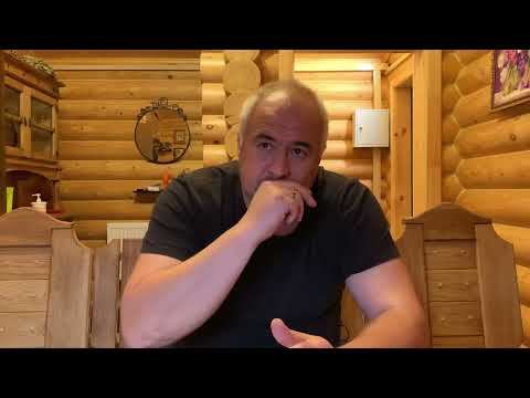 Луковицы тюльпанов - поставка из Нидерландов: важные новости.