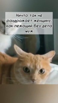 Просто невозможно терпеть😂