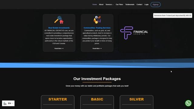Financial Growths - проверка проекта и краткий обзор.