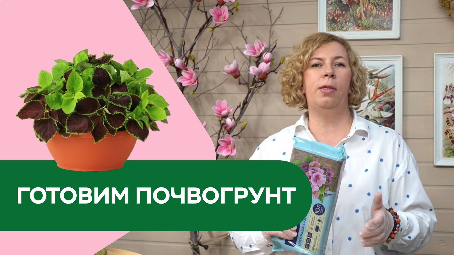 Почвогрунт для рассады