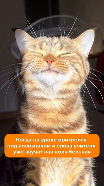 Такие моменты остаются в памяти на всю жизнь 😅 Каждому подписчику дарим пробный урок в SHKOLA 🔥🎁