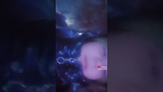 Кируся фан леры