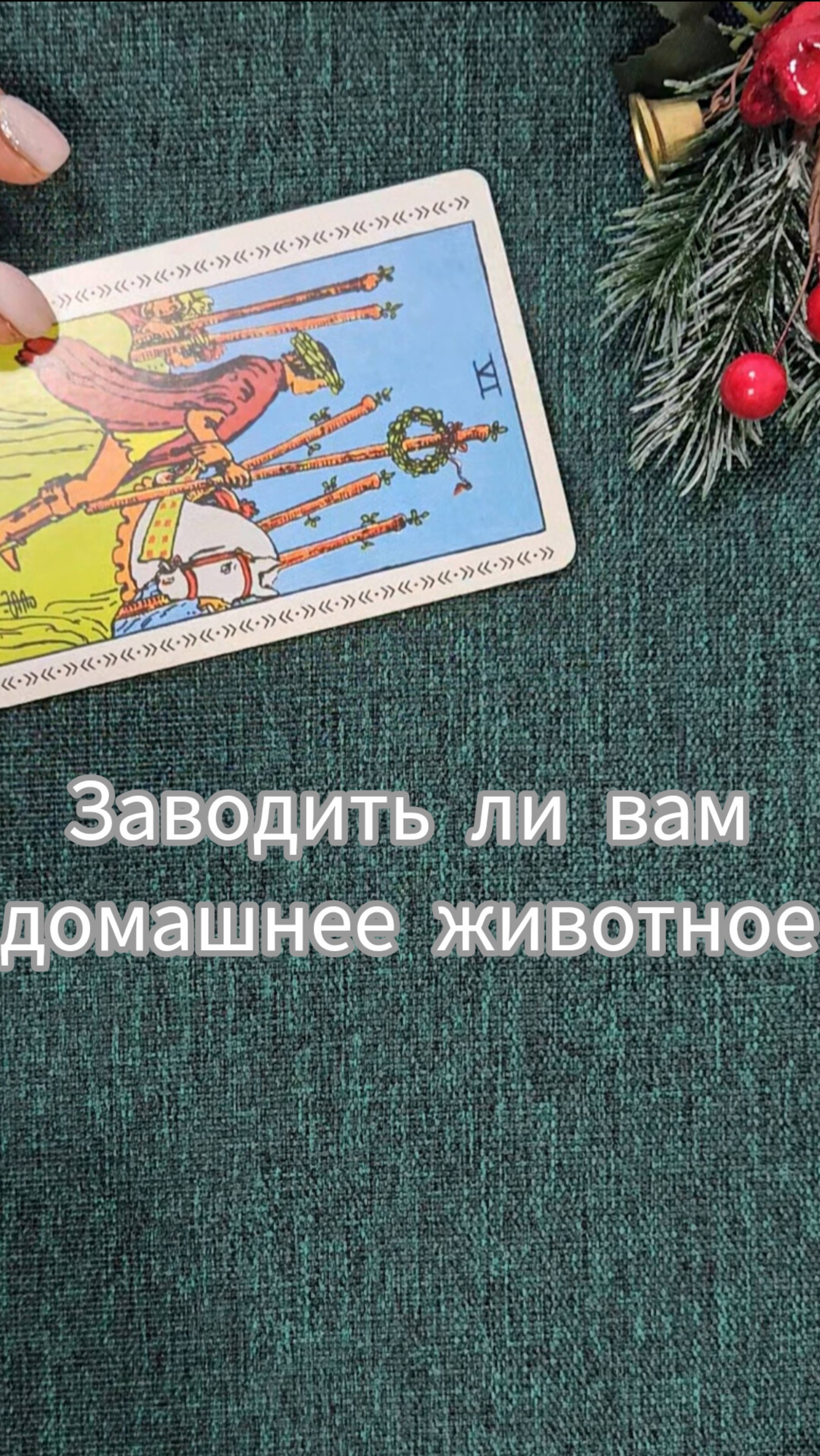 ЗАВОДИТЬ ЛИ ВАМ ДОМАШНЕГО ПИТОМЦА?