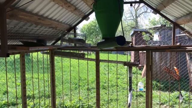 Автоматическая шнековая кормушка для курятников российского производства