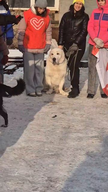 Спасибо