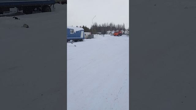 1000018147.mp4