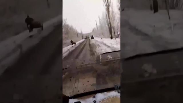 Шоссе в АД