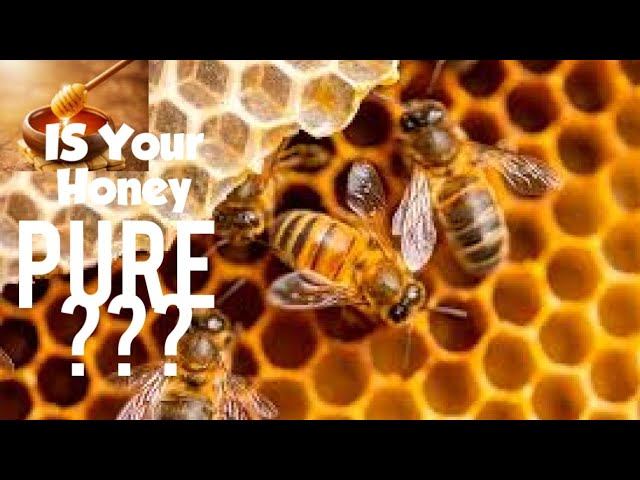 5+ Minutes!!!! The ULTIMATE Honey Knowledge