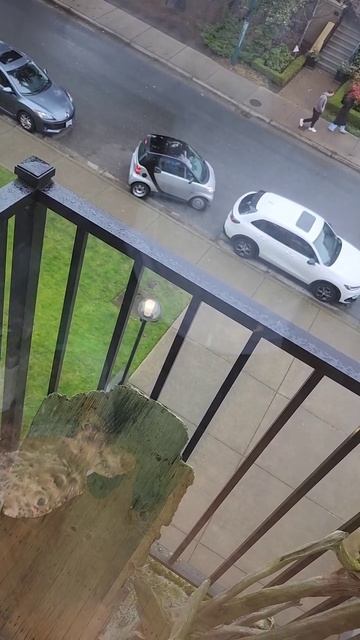 парковка не выполнимая 🤣