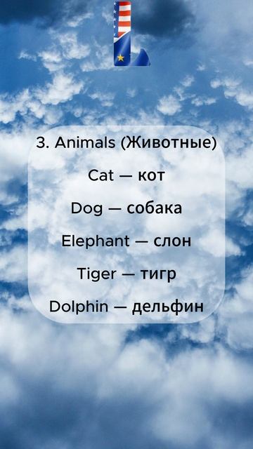 Выучи 5 английских слов каждый день.