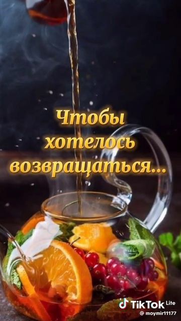 VID-20250210-WA0006.mp4
