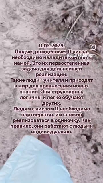 11.02.2025. Вибрация цифры 11