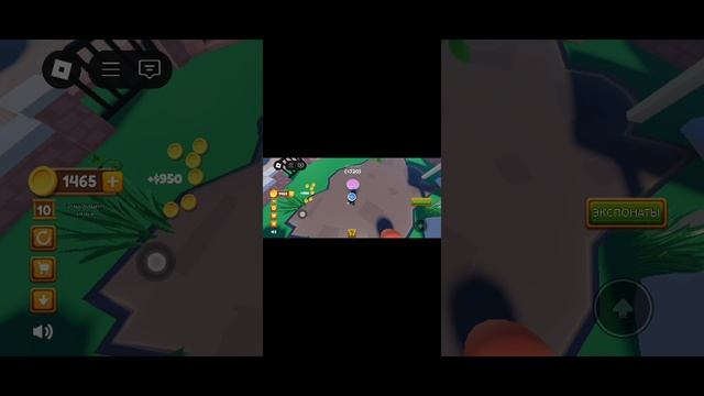 11-02-2025