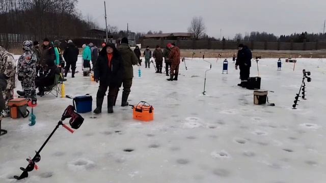 Видеоотчет с водоема