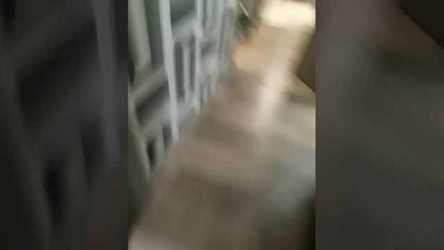 игра со своим котом Жора