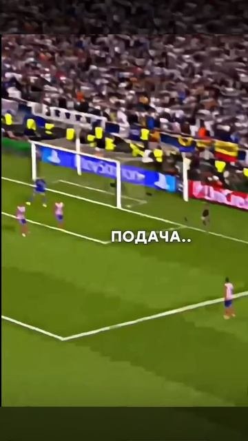 1000005884.mp4