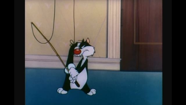 Looney Tunes Classic | Poor Puddytat | Boomerang Official