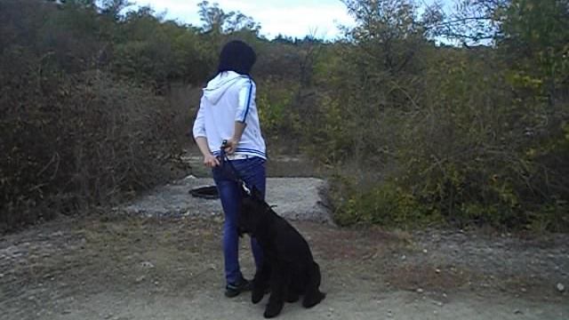 2. Роман-Кош Мариэтта. Повороты. ЗАНЯТИЯ 30 ОКТ.  2012