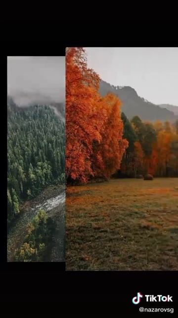 на природу🌼