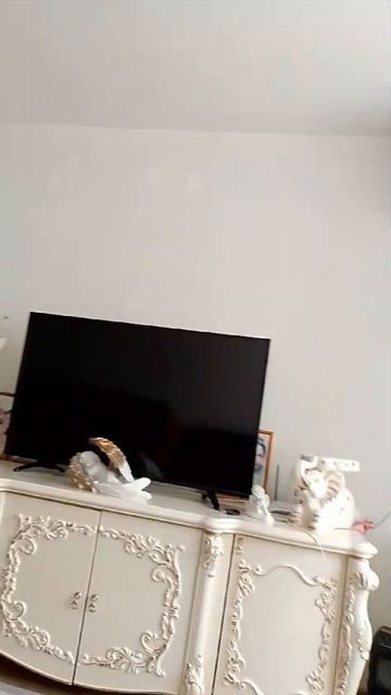 Отзыв 11.02.25
