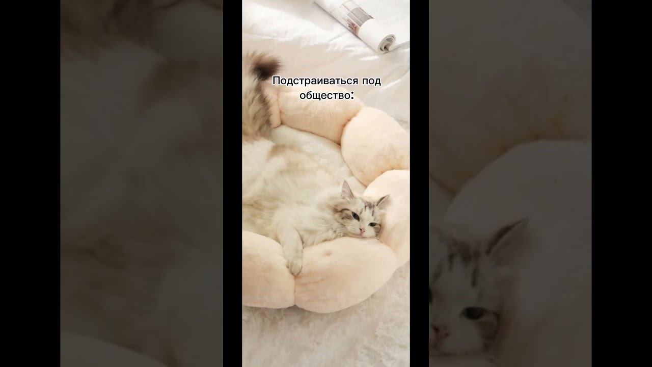 А ты на каком этапе?