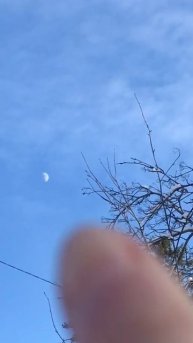 Я вижу месяц днём. Удивительно!