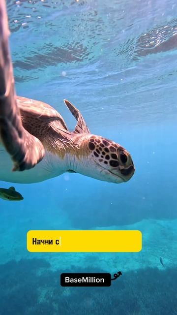 Действуй сейчас