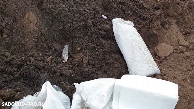 Куриный помёт в мешках.mp4