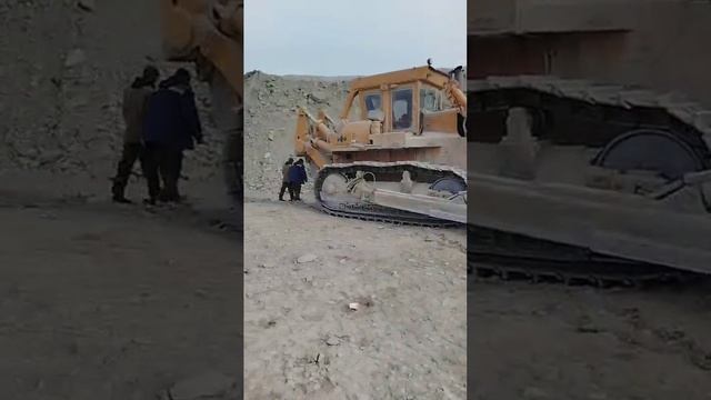 11.02.2025.mp4