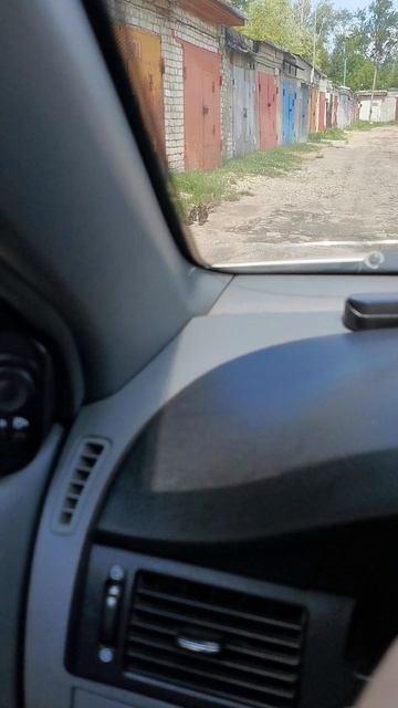 Утка в гаражах весной 2024