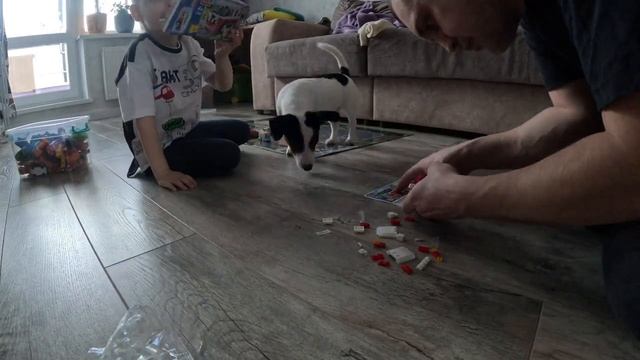 Новый конструктор