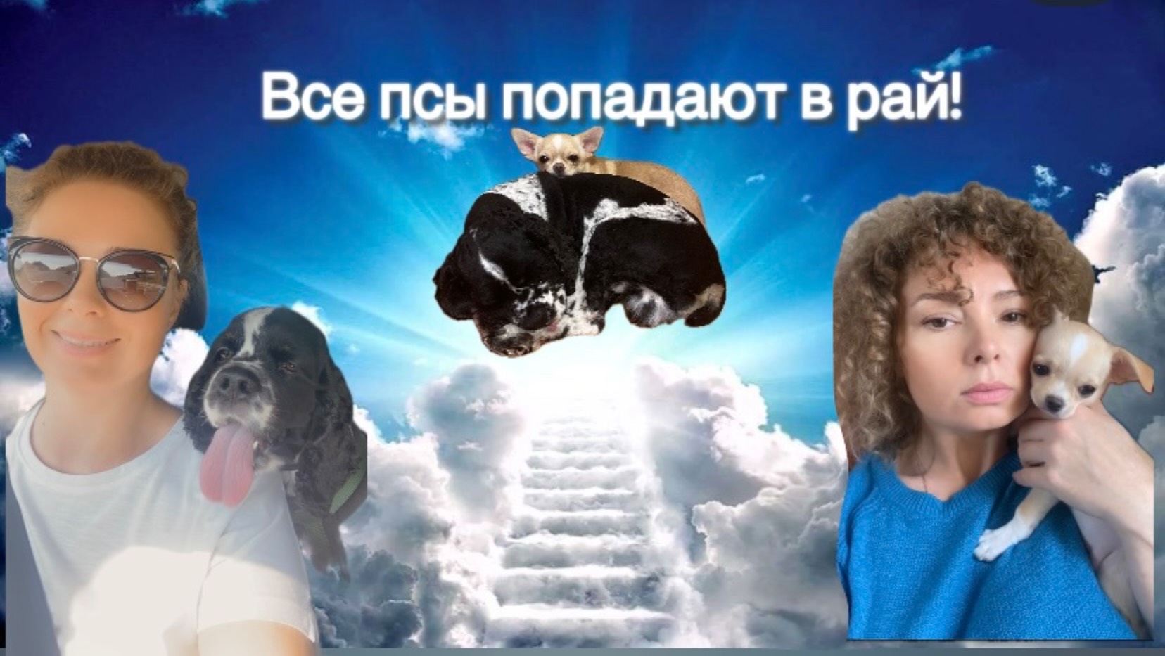 Все псы попадают в рай