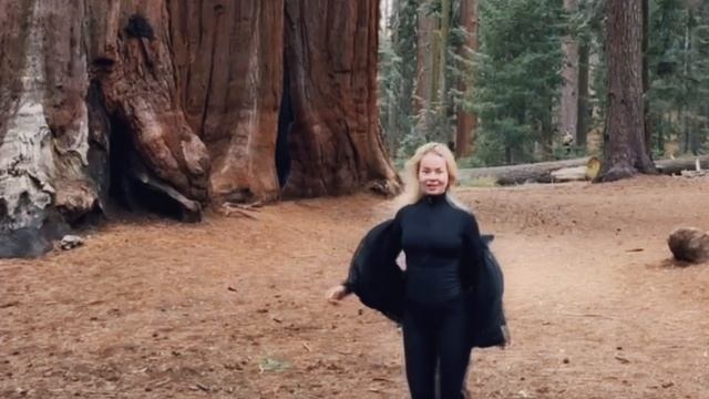 Елена Князева - Лучший бывший Sequoia Park USA🔥