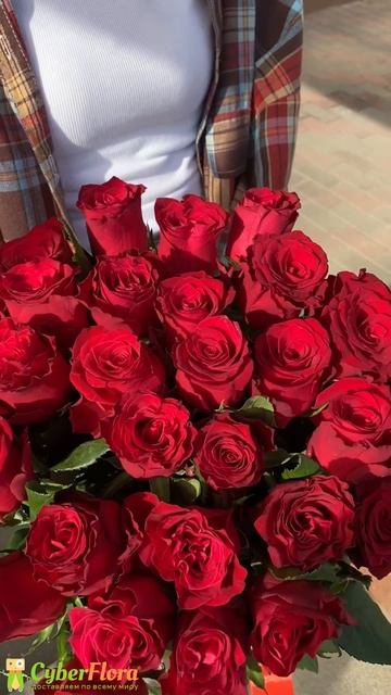 Букет роз 33 алых розы
